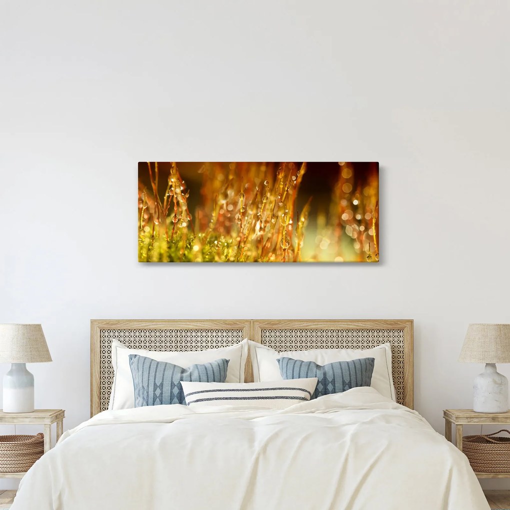 Kép - Harmat részlete (120x50 cm)