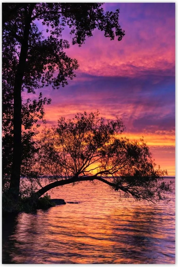 Poszterek 80x120 Tó Fa Nyugat