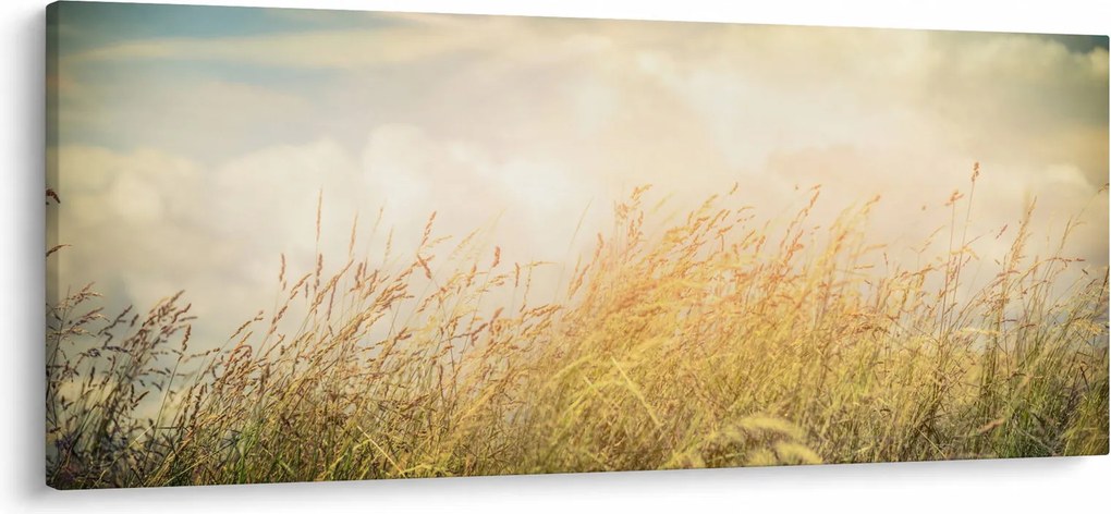 Kép - Mező ősszel (120x50 cm)