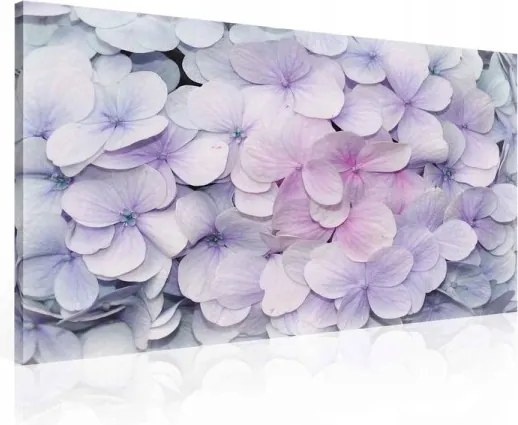 Vászonkép 80x60 Hortenzia virágok csokor pasztell színek fali dekoráció