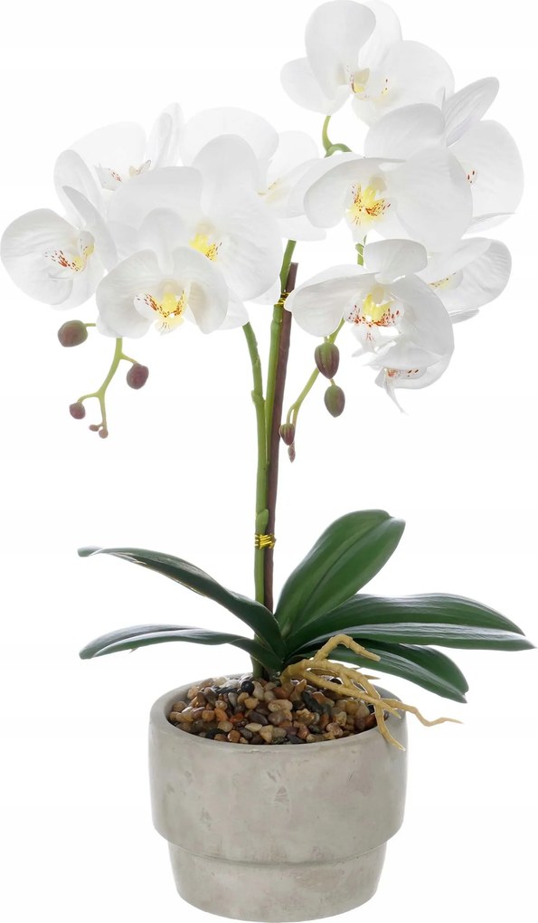 Mű Orchidea Fehér Cement Kaspóban Szürke 12 X 16,5 X 49 CM