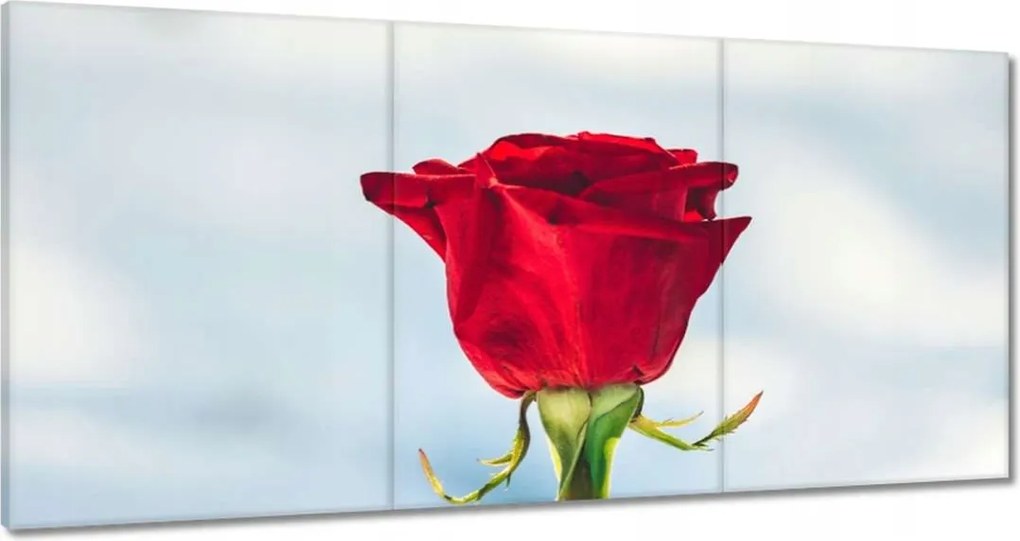 Vászonkép 180x90 Rózsa Virág Virágok Rózsa