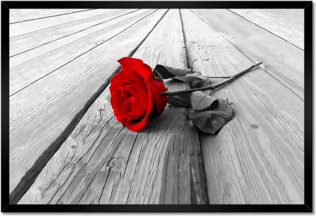 Poszterek keretben 60x40 Vörös rózsa a fán