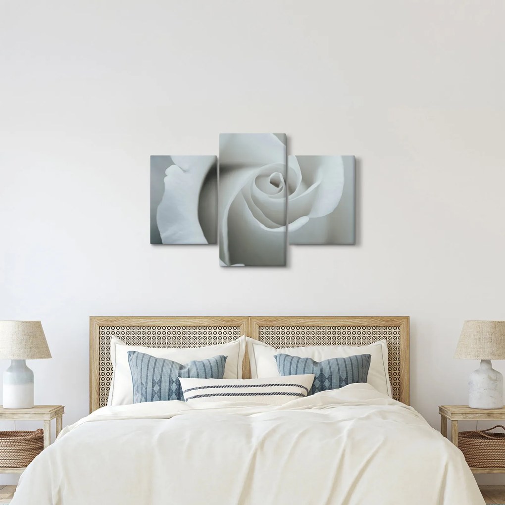 Kép - Fehér rózsa (90x60 cm)