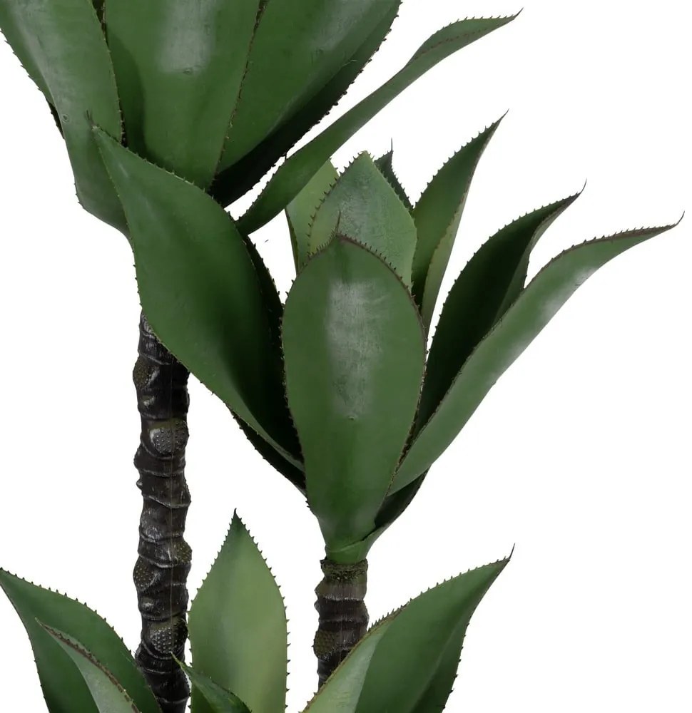 Műnövény (magasság 120 cm) Agave – Ixia