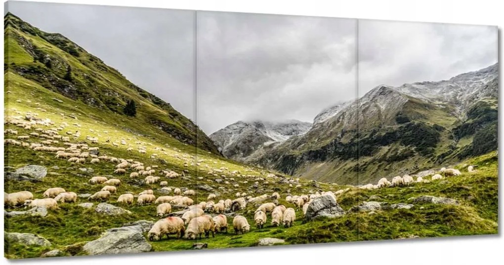 Vászonkép 120x60 Juh legeltetés Bárányok
