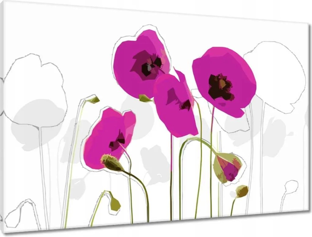 Vászonkép 90x60 Lila pipacsok Virágok