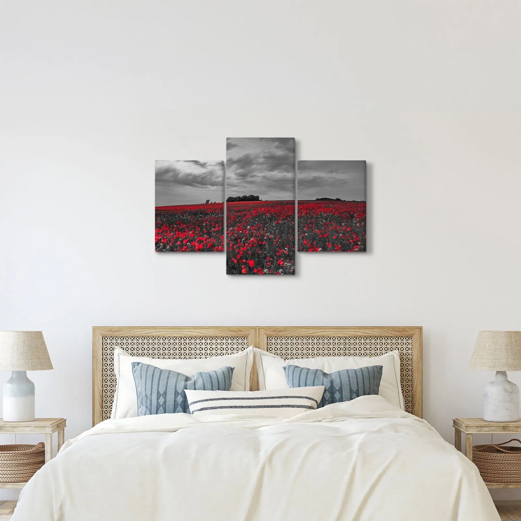 Pipacsos kép (90x60 cm)