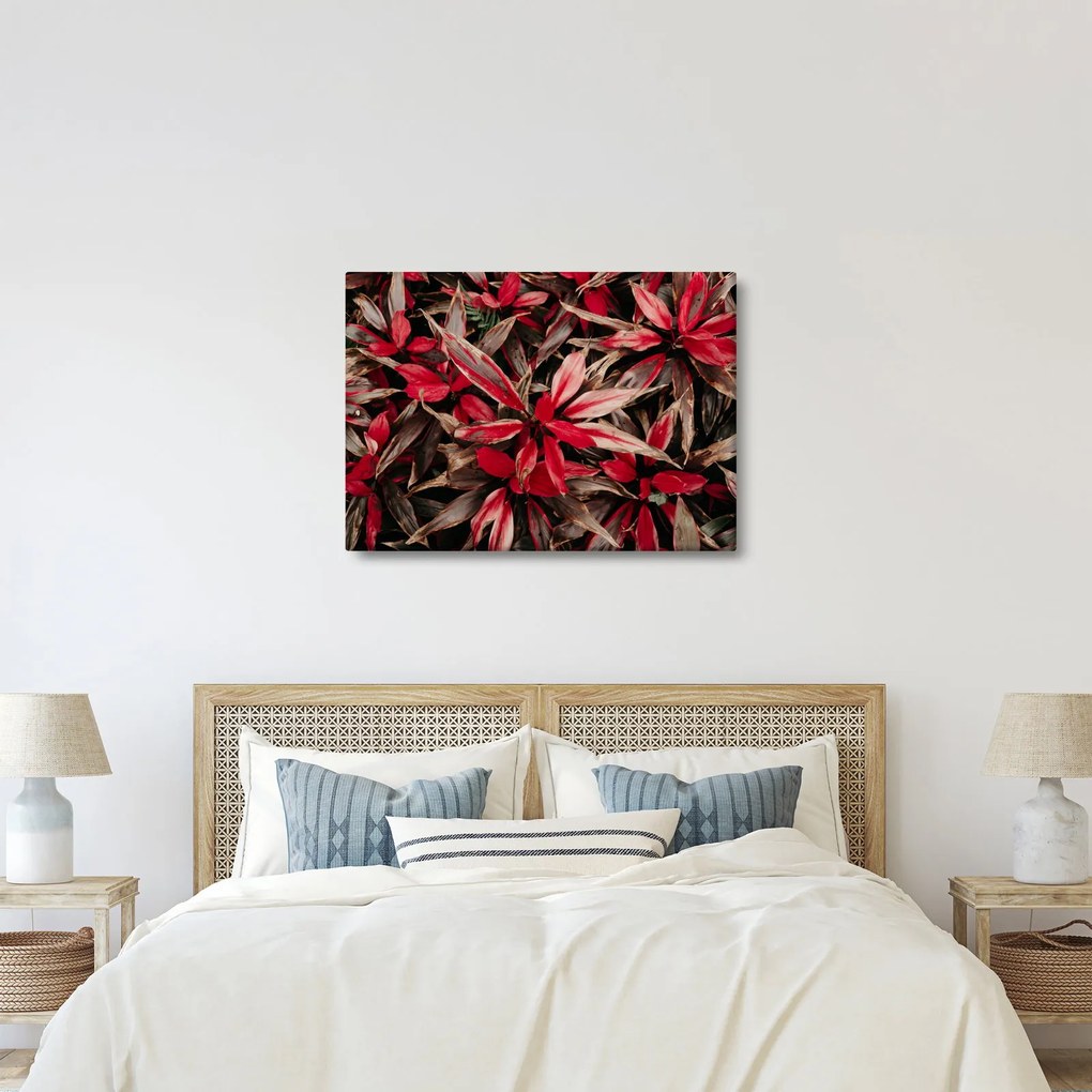 Piros szirmok képe (70x50 cm)