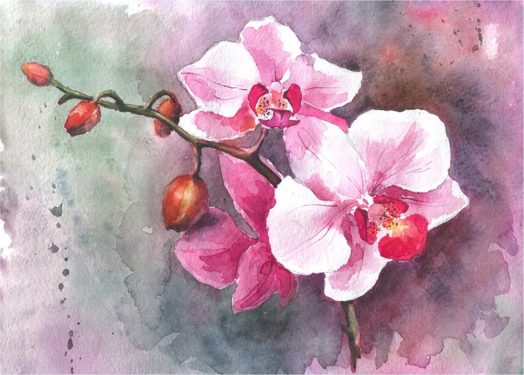 Üveg kép - Orchideák, akvarell (70x50 cm)