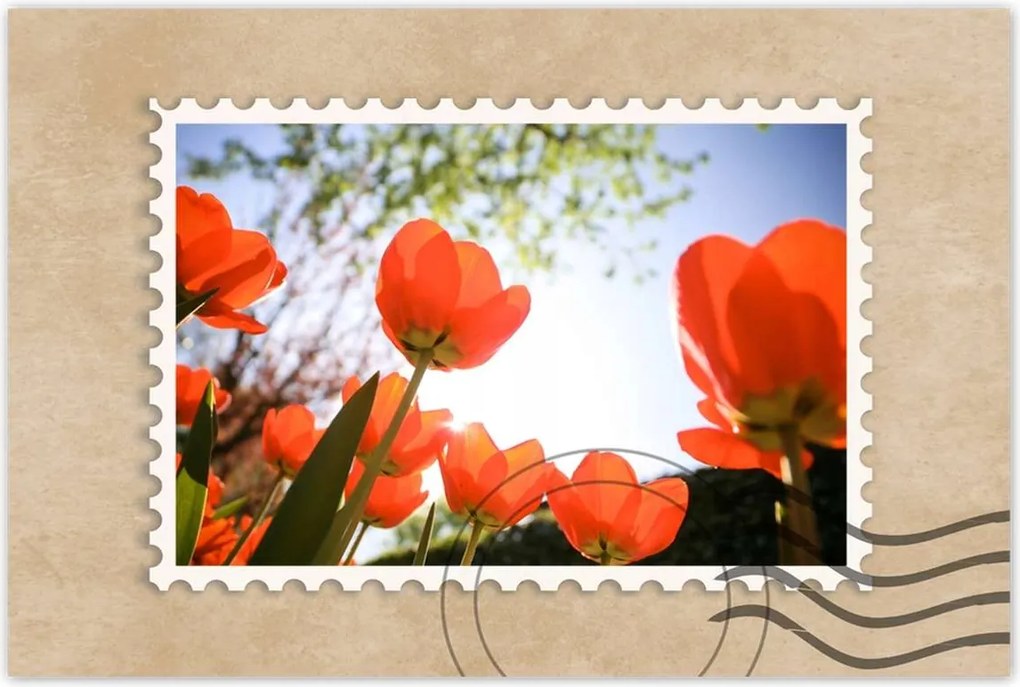 Poszterek 60x40 Az égbe a pipacsokon keresztül