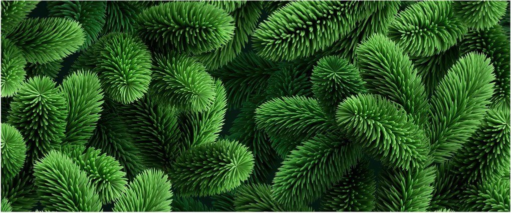 Kép - Tűlevelű gallyak (120x50 cm)