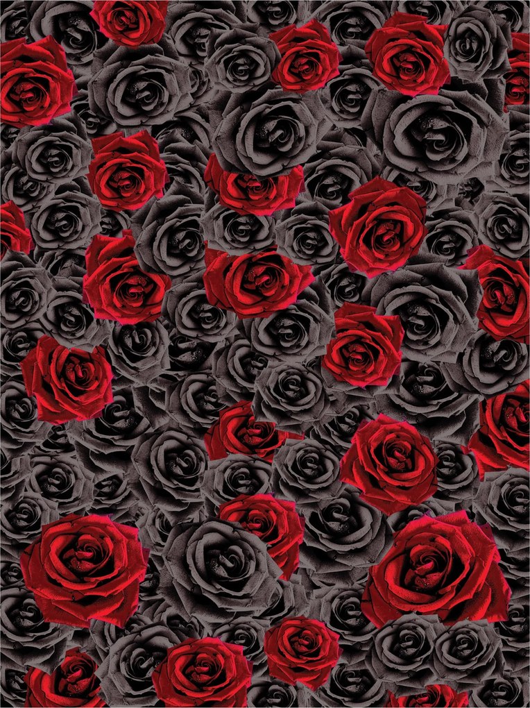 Fotótapéta Rózsa Piros Fekete Fehér Kontraszt Elegancia Vinyl 184x254 +ragasztó