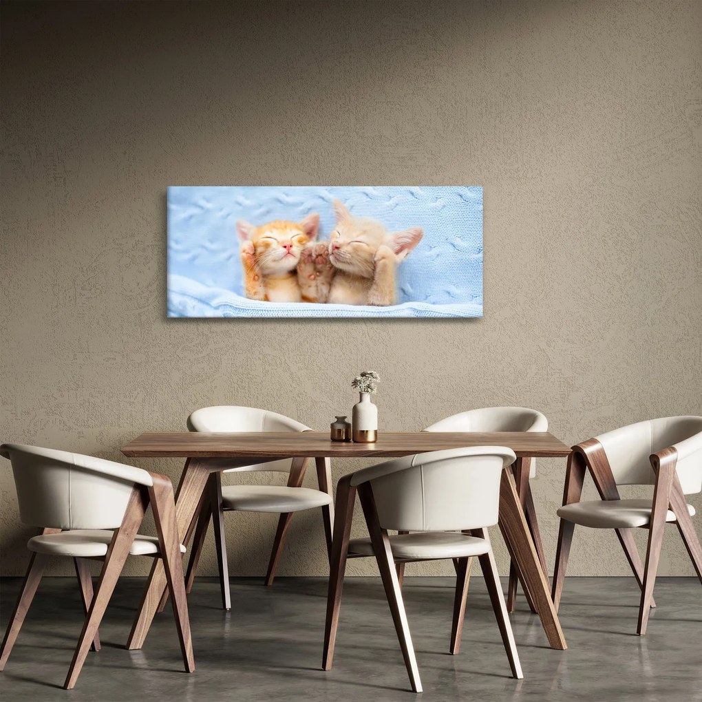 Kép - Alvó cicák (120x50 cm)