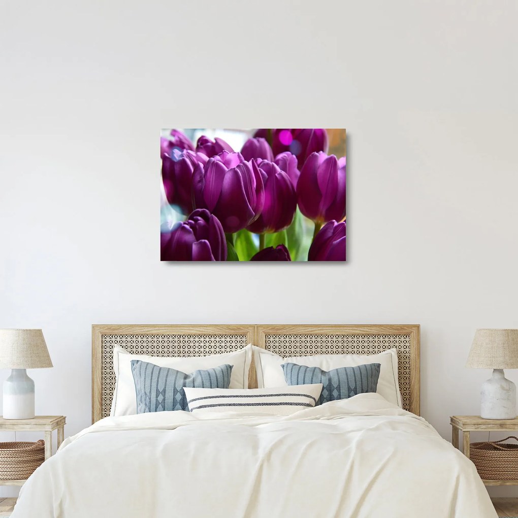 Tulipán képe (üvegen) (70x50 cm)