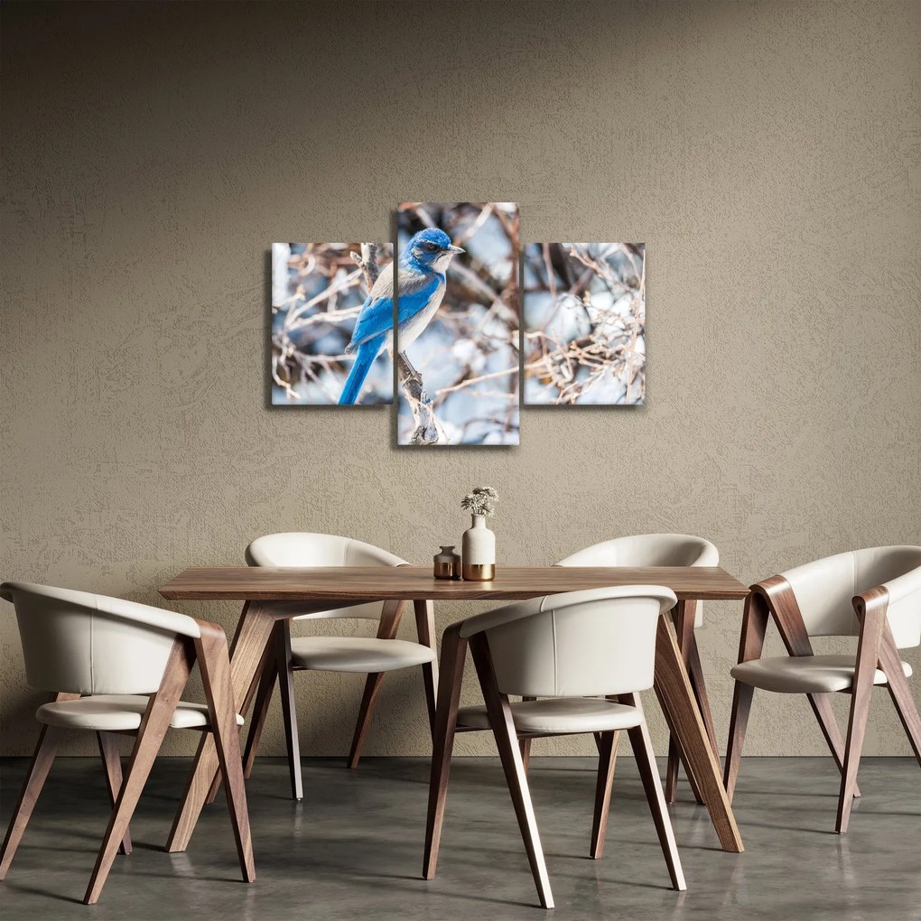 Kép - Téli madár (90x60 cm)