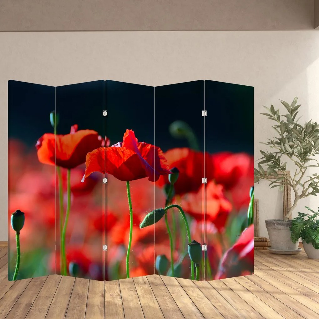 Paraván - pipacsok (210x170 cm)