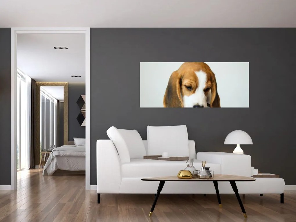 Beagle képe (120x50 cm)