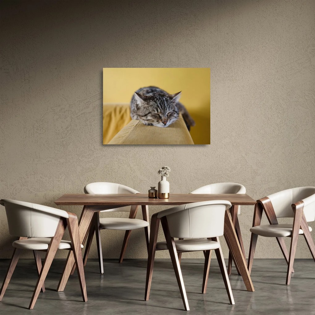 Macska a kanapén képe (üvegen) (70x50 cm)