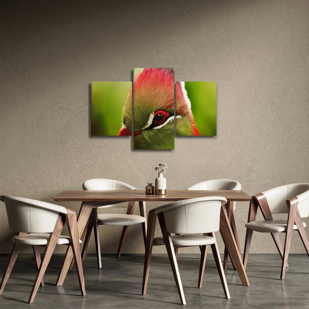 Színes madár képe (90x60 cm)