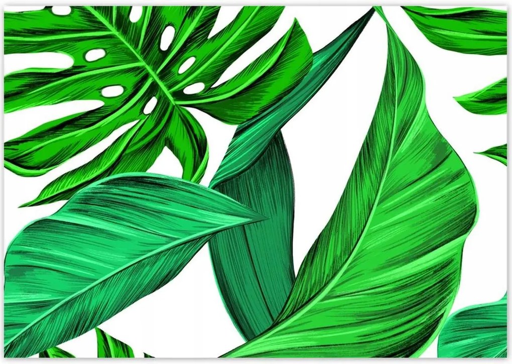 Poszterek 100x70 Zamatos Monstera Trópusok