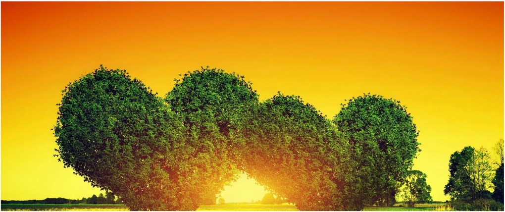 Kép - szív a fák tetején (120x50 cm)