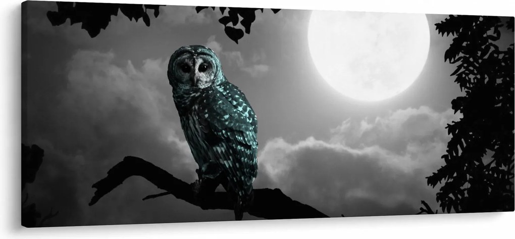 Kép - Éjjeli bagoly, kék (120x50 cm)
