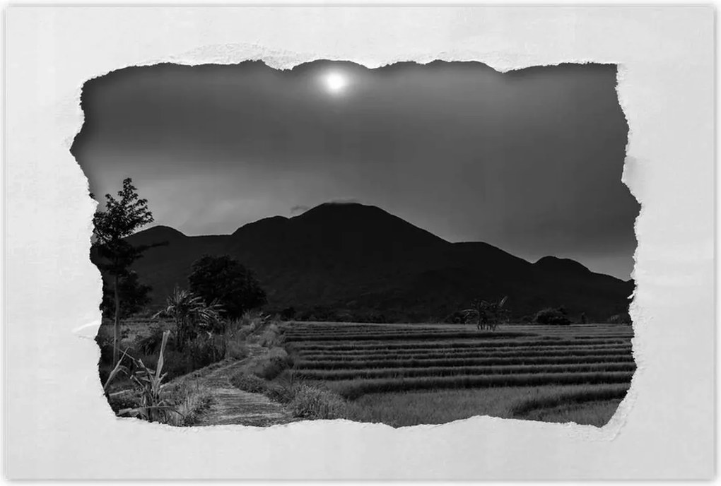 Poszterek 90x60 Kilátás a rizsföldekre