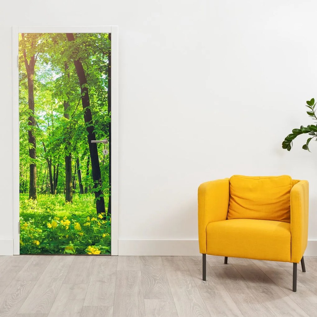 Fotótapéta ajtóra - Tavaszi lombhullató erdő (95x205cm)