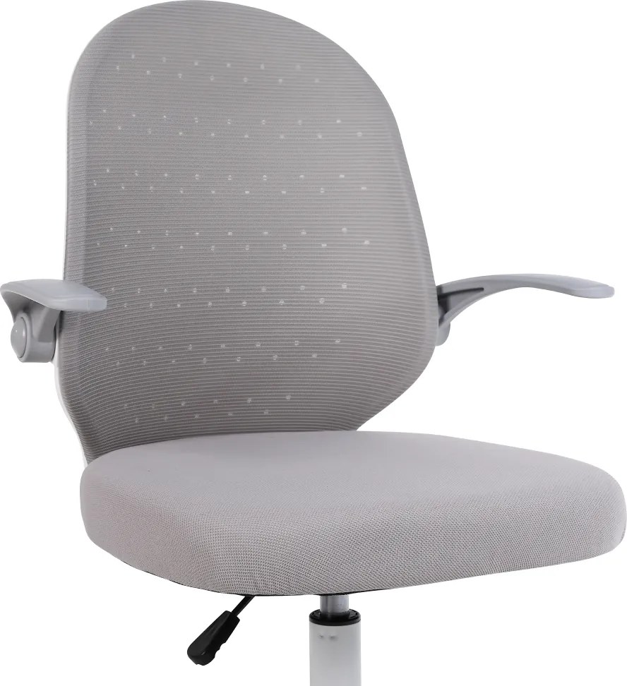 Irodai szék, szürke/fehér, PASTURA