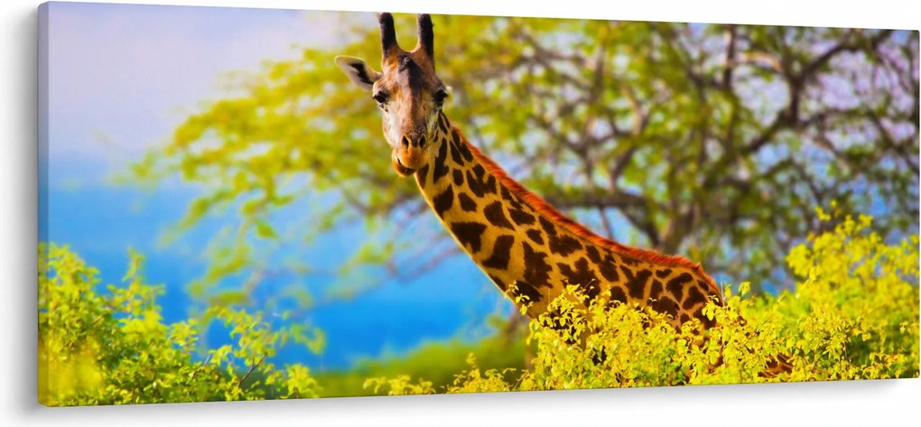 Egy kép egy zsiráfról Afrikában (120x50 cm)