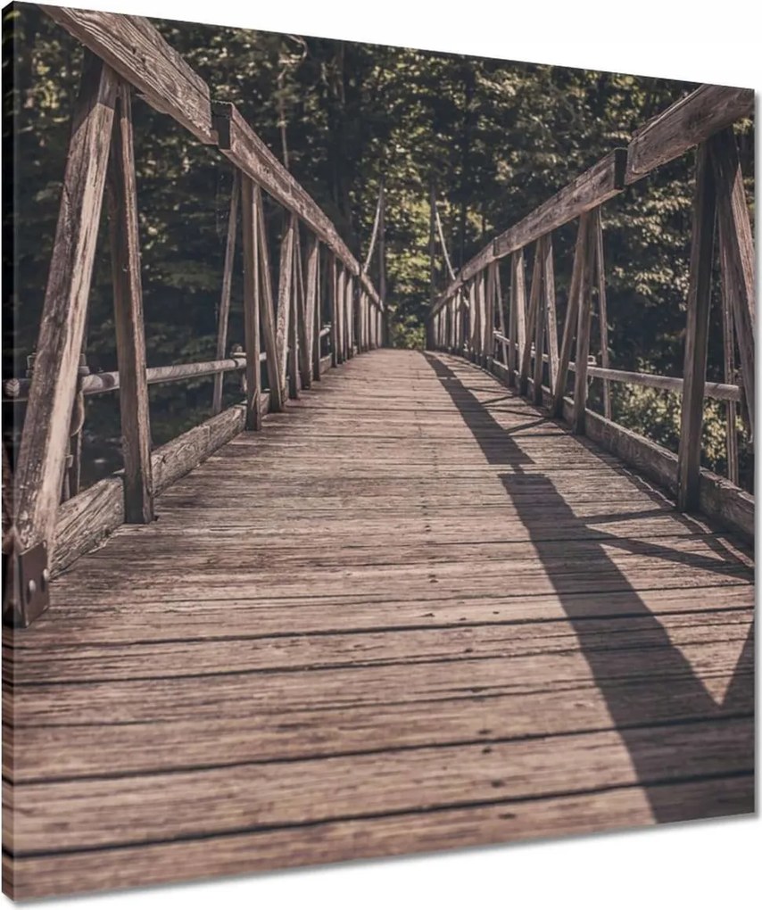 Vászonkép 60x60 Fa híd