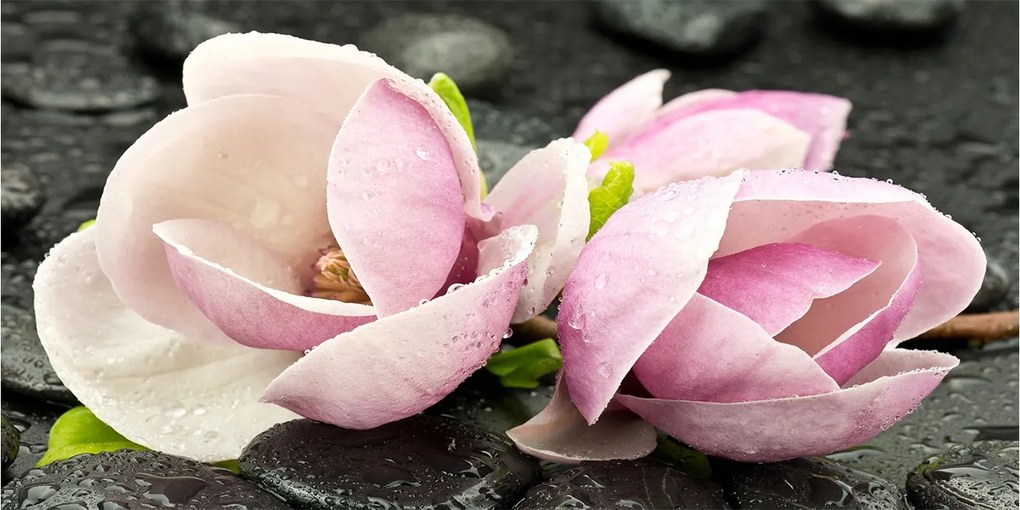 Fotó üvegkép Magnólia kő zen 140x70