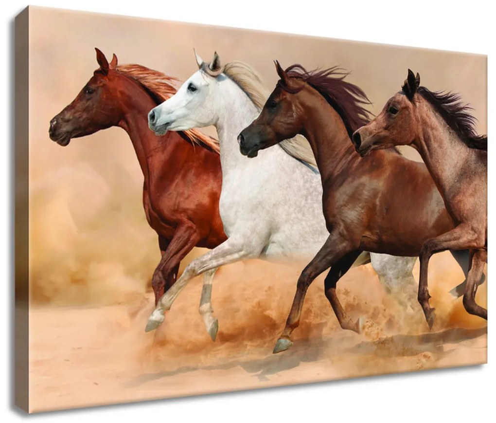 Gario Vászonkép Gyönyöru lovak állománya Méret: 100 x 70 cm