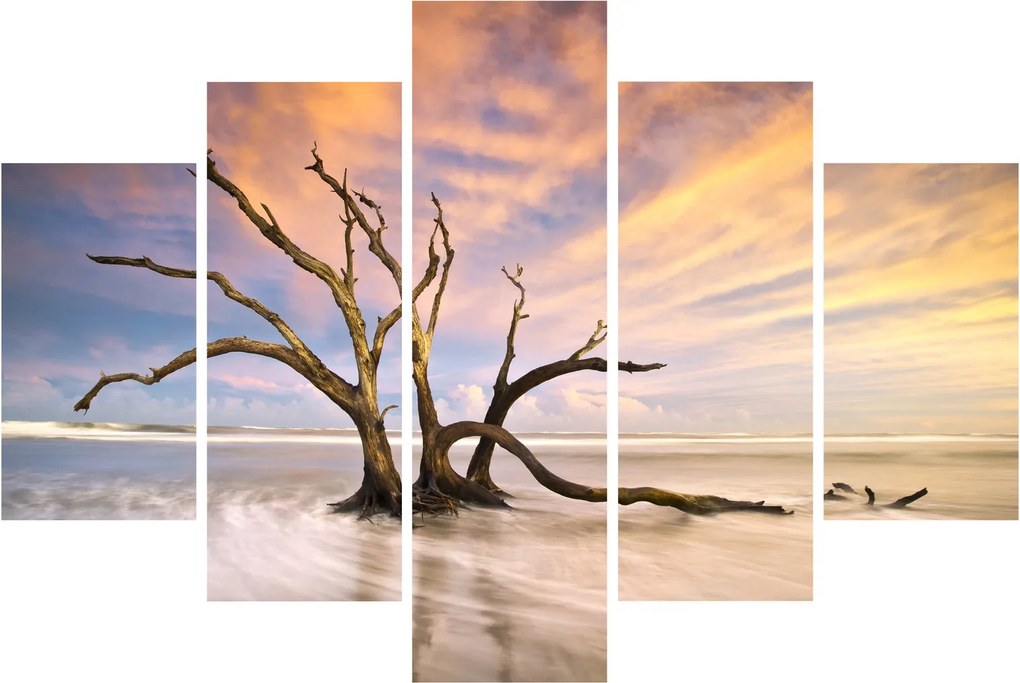 Egy fa képe az óceánban (150x105 cm)