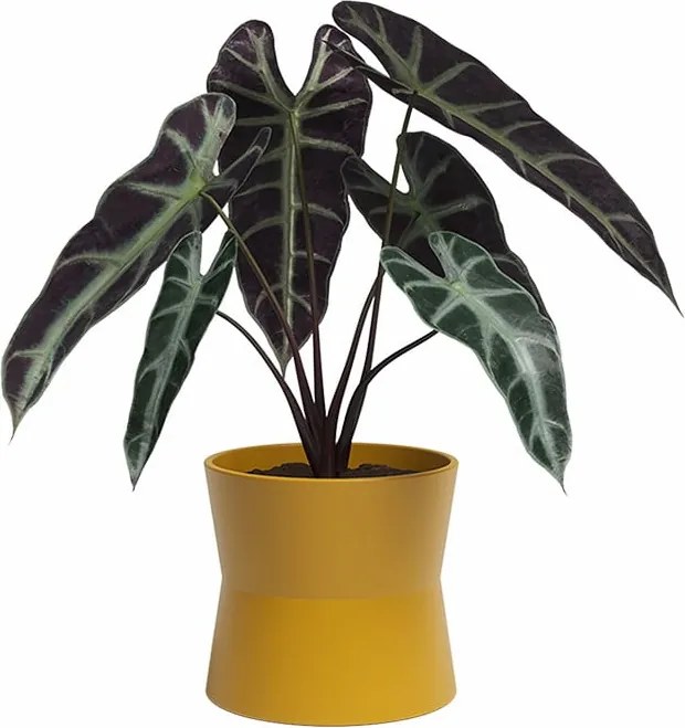 Kerámia virágcserép ø 14 cm Diana – Artevasi