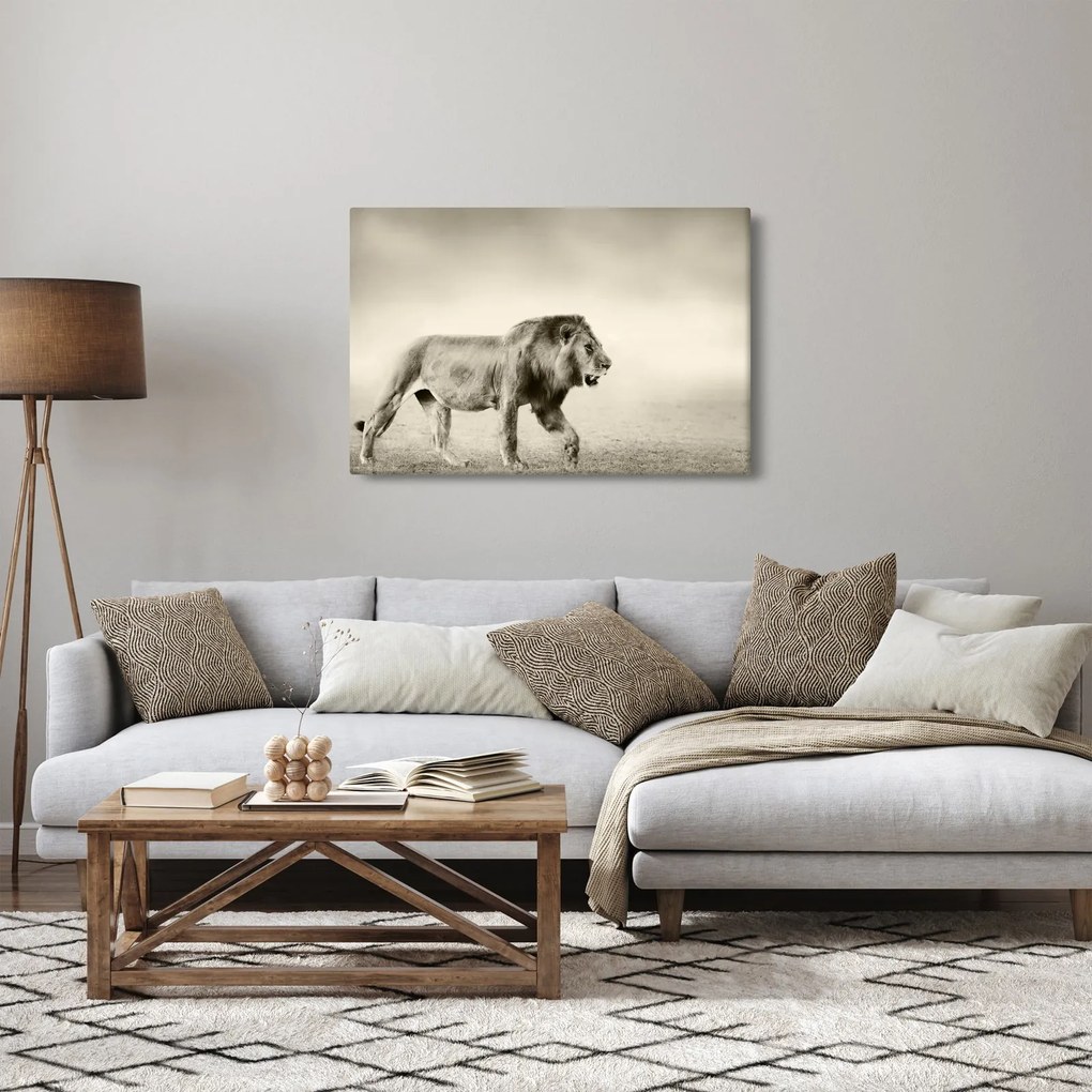 Kép - Az éhes oroszlán (90x60 cm)
