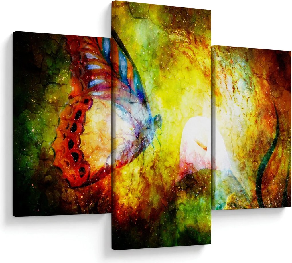 Kép - Kozmikus pillangó (90x60 cm)