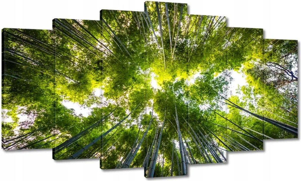 Vászonkép 140x80 Bambusz trópusi erdő