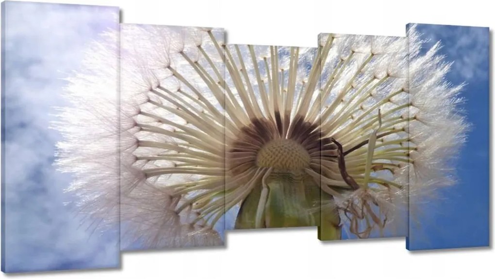 Vászonkép 150x80 Pitypang Virág Virágok