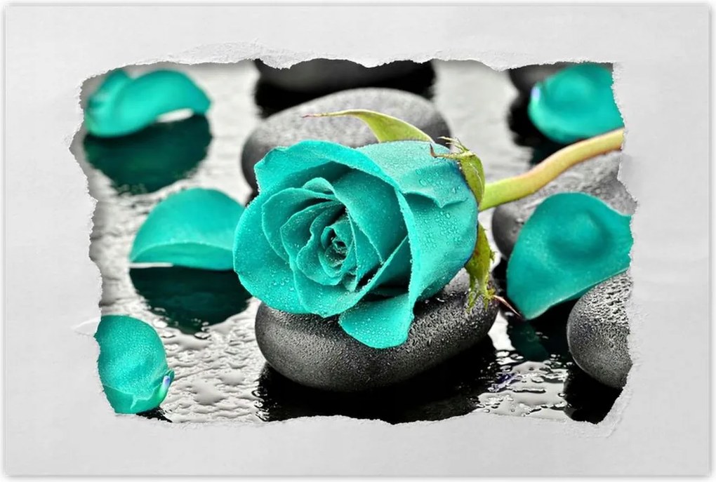 Poszterek 90x60 Türkiz rózsa