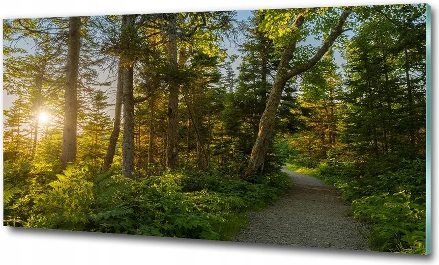 Fotótapéta üvegfalra Rózsaszín orchidea 125x50