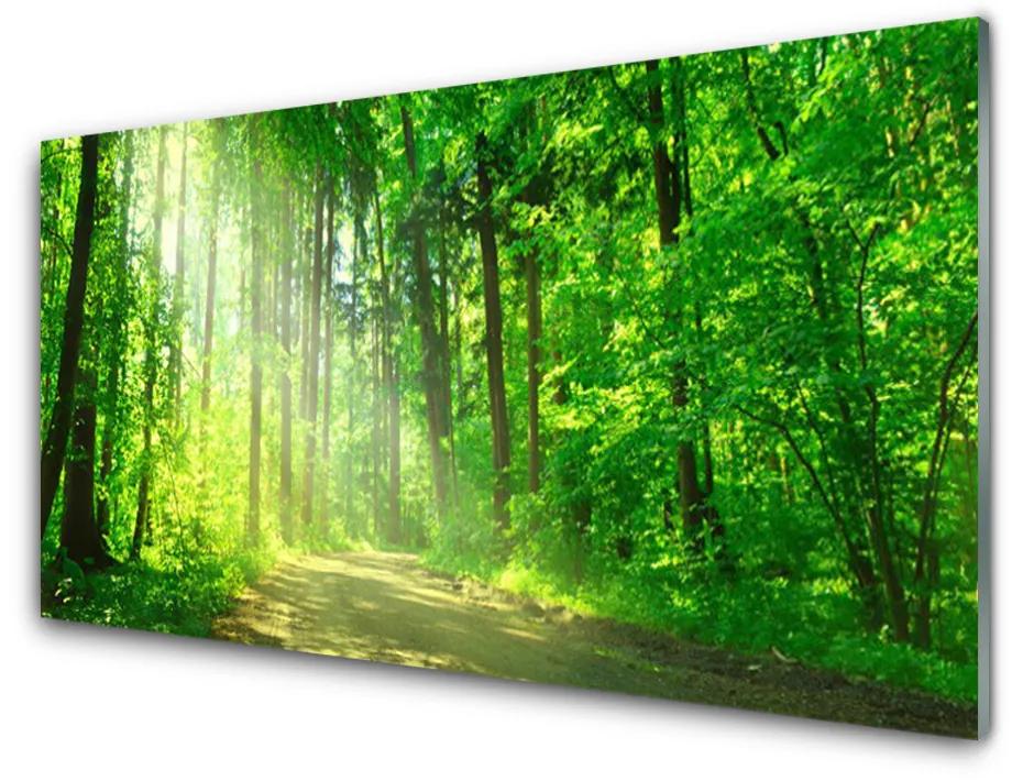 Modern üvegkép Forest sáv fák természet 140x70 cm