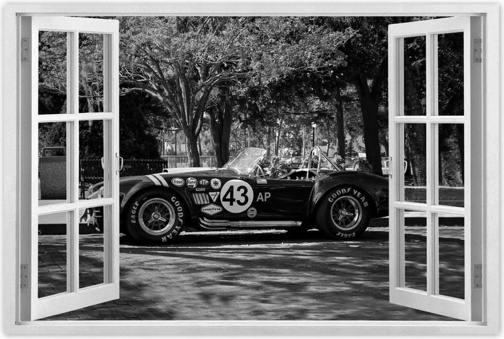 Poszterek 60x40 Shelby