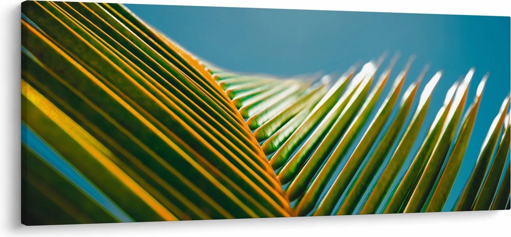 Kép - A pálmalevél részlete (120x50 cm)