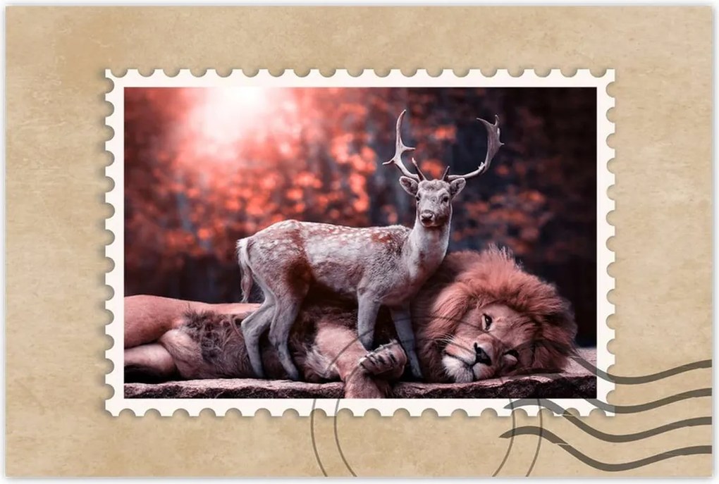 Poszter 60x40 Szarvas felszarvazott