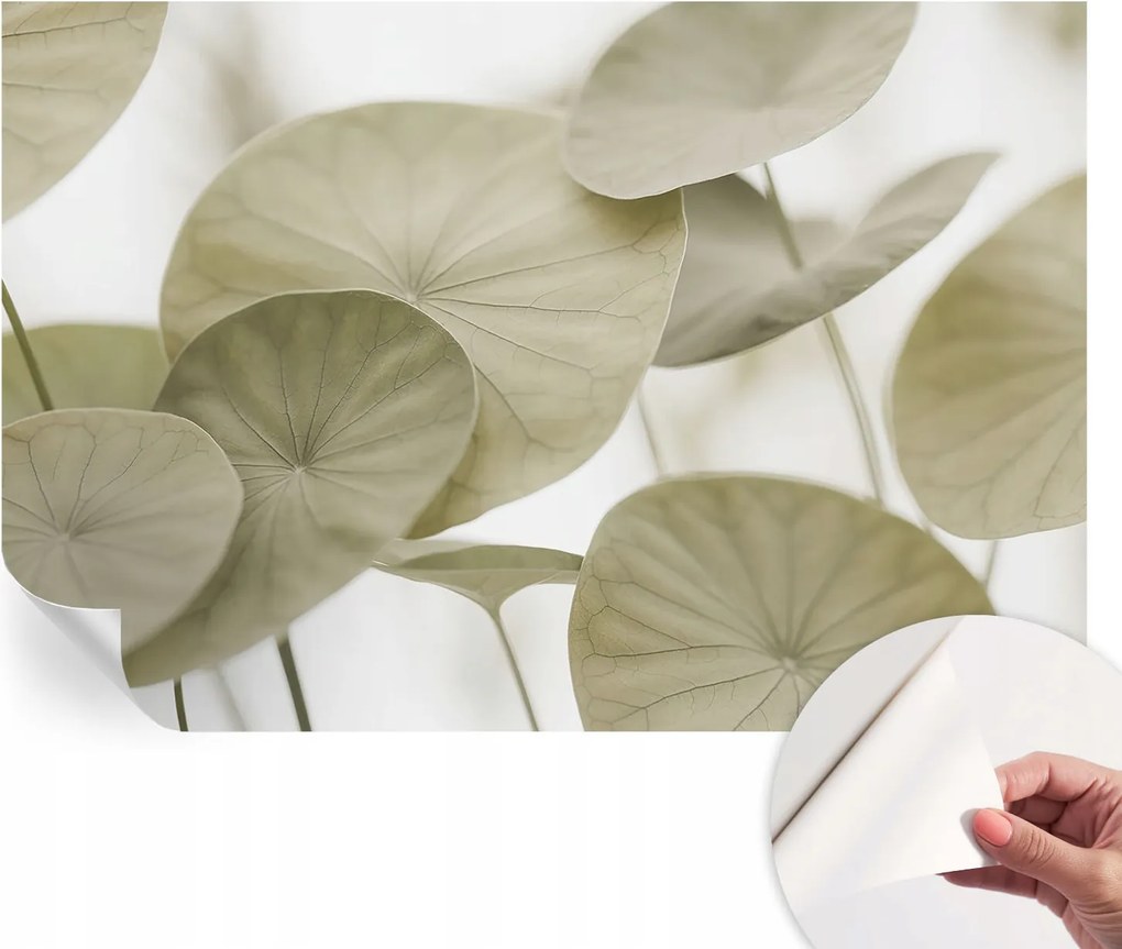 Fali fotótapéta előszoba konyhába Természetes elegancia 104x70 cm