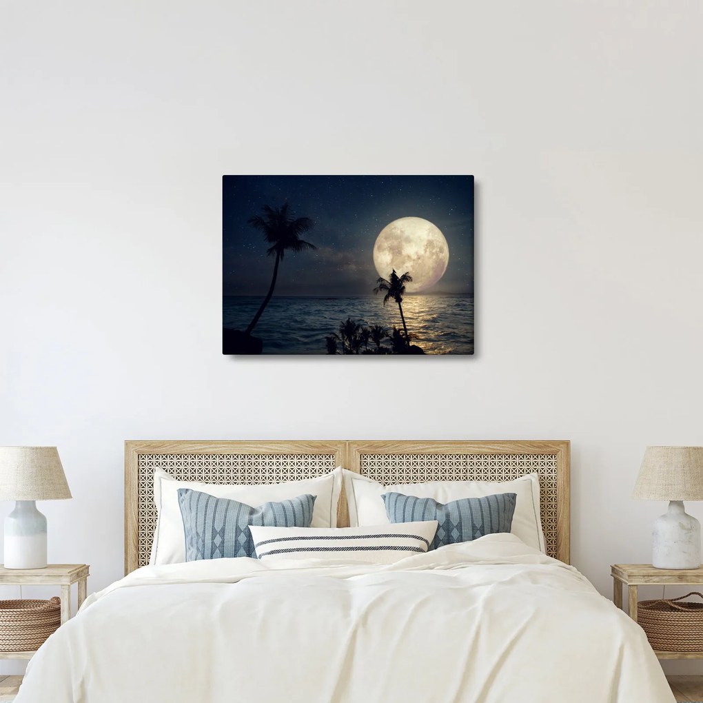 Kép - Strand teliholddal (70x50 cm)