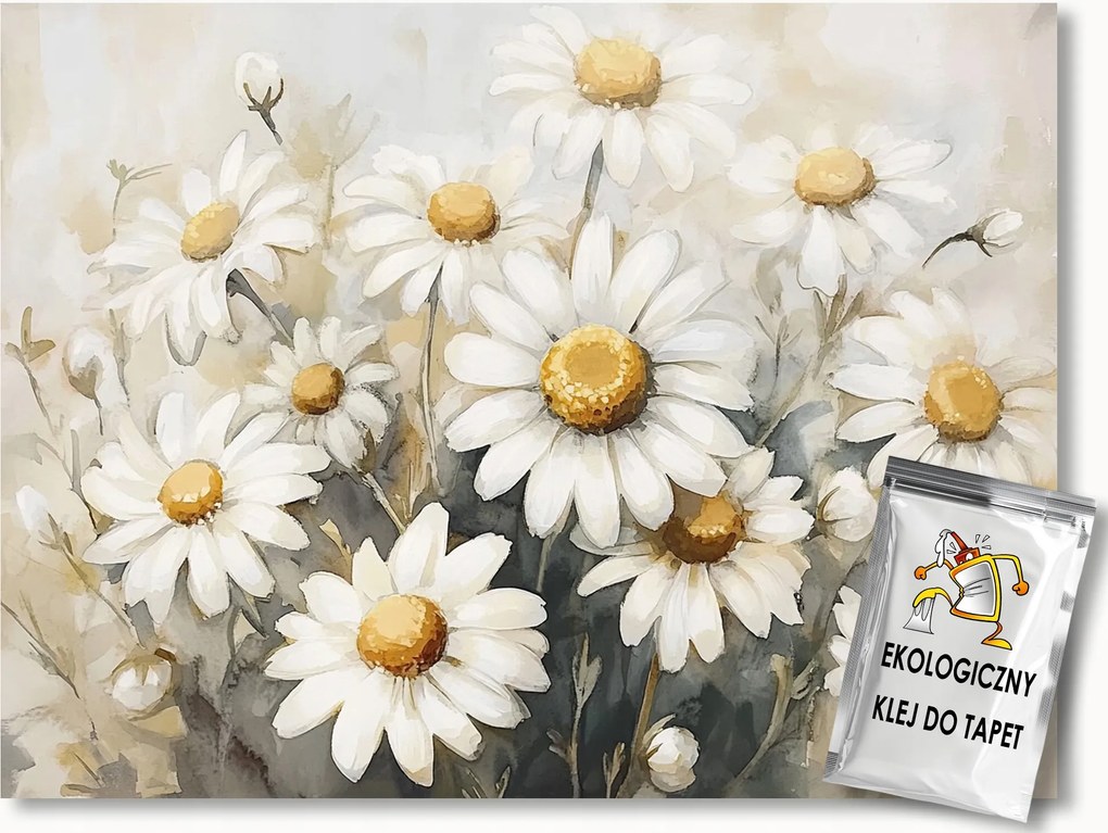 Fotótapéta Flizelina Tavasz Nyár Virágok Margaréta 200x140 ragasztó