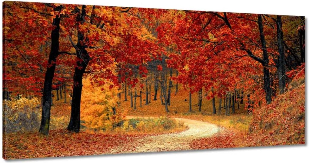 Vászonkép 60x30 Tájkép